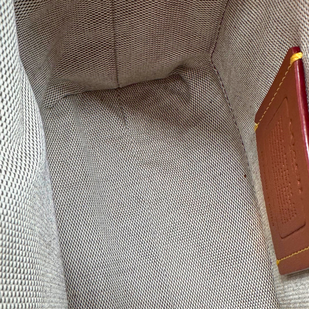 Caleb's Closet: Coach Rogue 20 Zebra Haircalf CM564