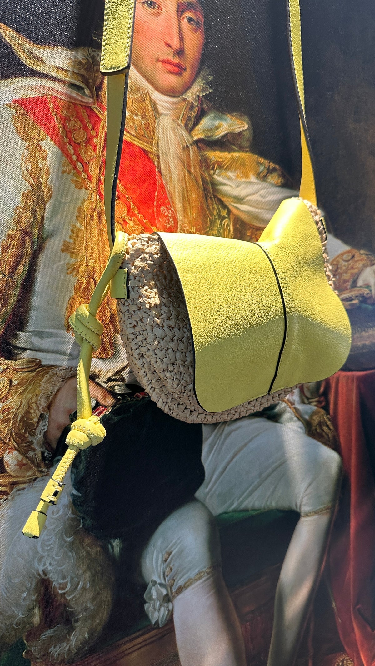 Vince Camuto Bonne Bag