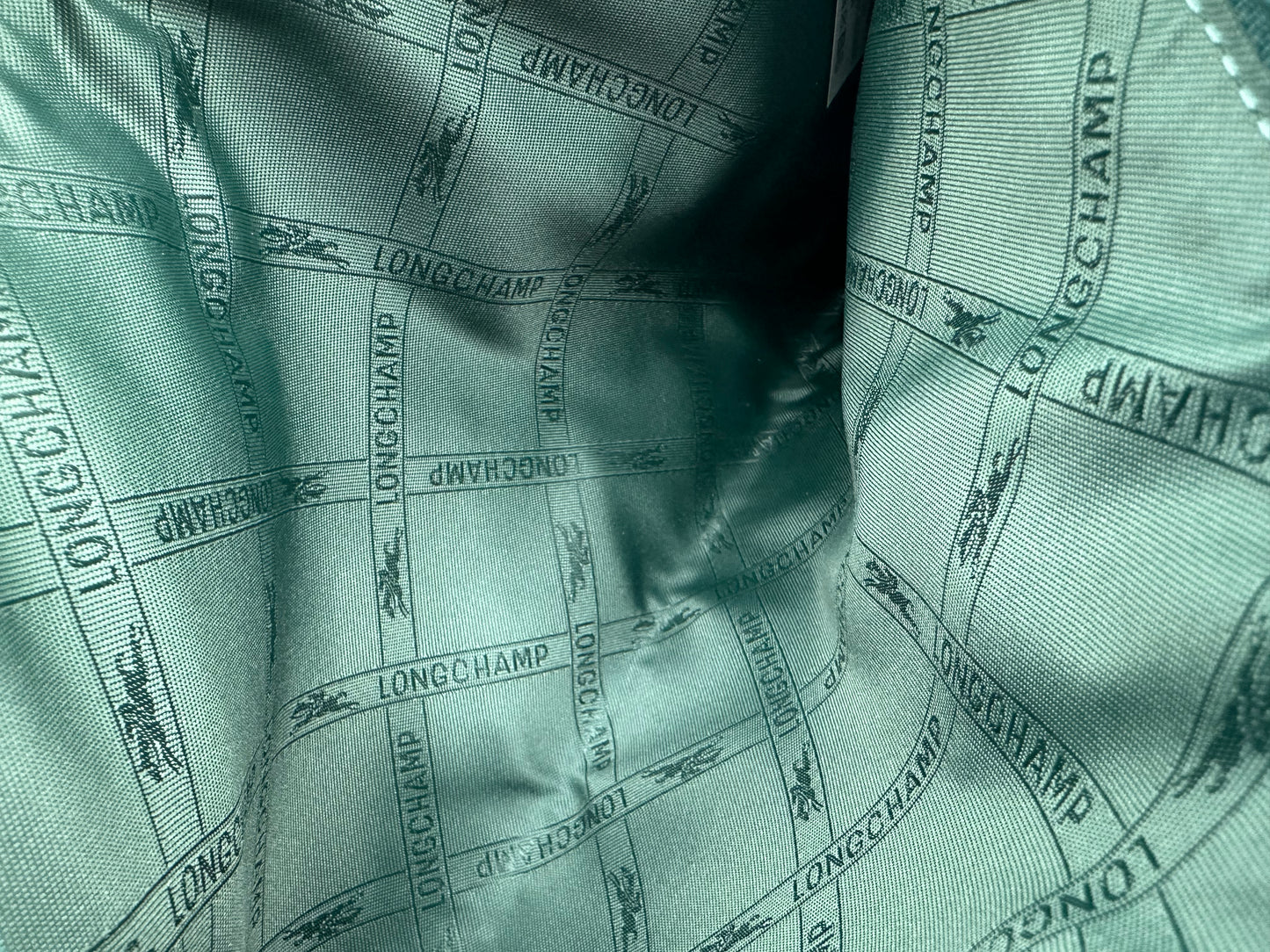 Caleb's Closet: Longchamp Suede Wristlet